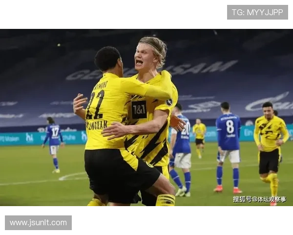 多特蒙德百万欧元项目宏图揭秘